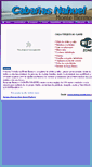 Mobile Screenshot of cabanasnahuel.com.ar